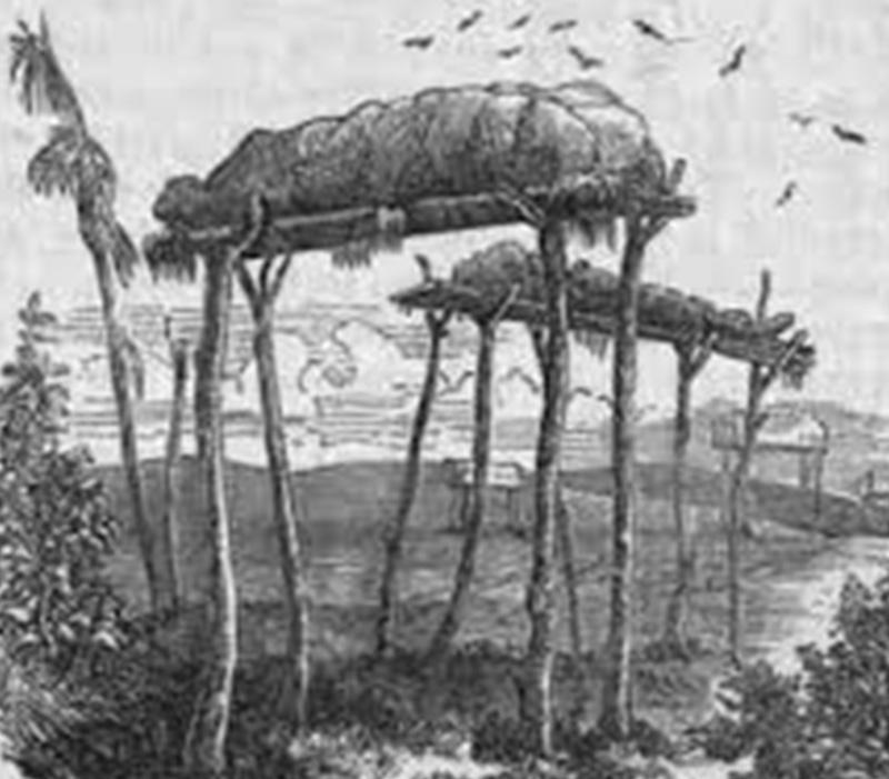 Historical illustration of traditional Aboriginal burial practices and elevated platforms