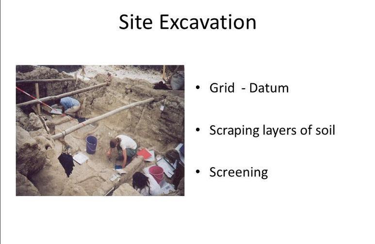 Field excavation showing grid-based methodology with documentation