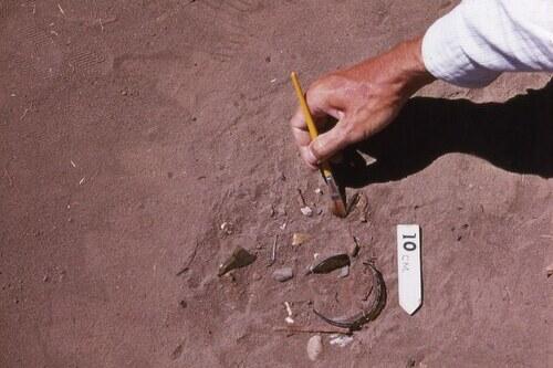 Archaeological excavation showing careful brush techniques and scale documentation